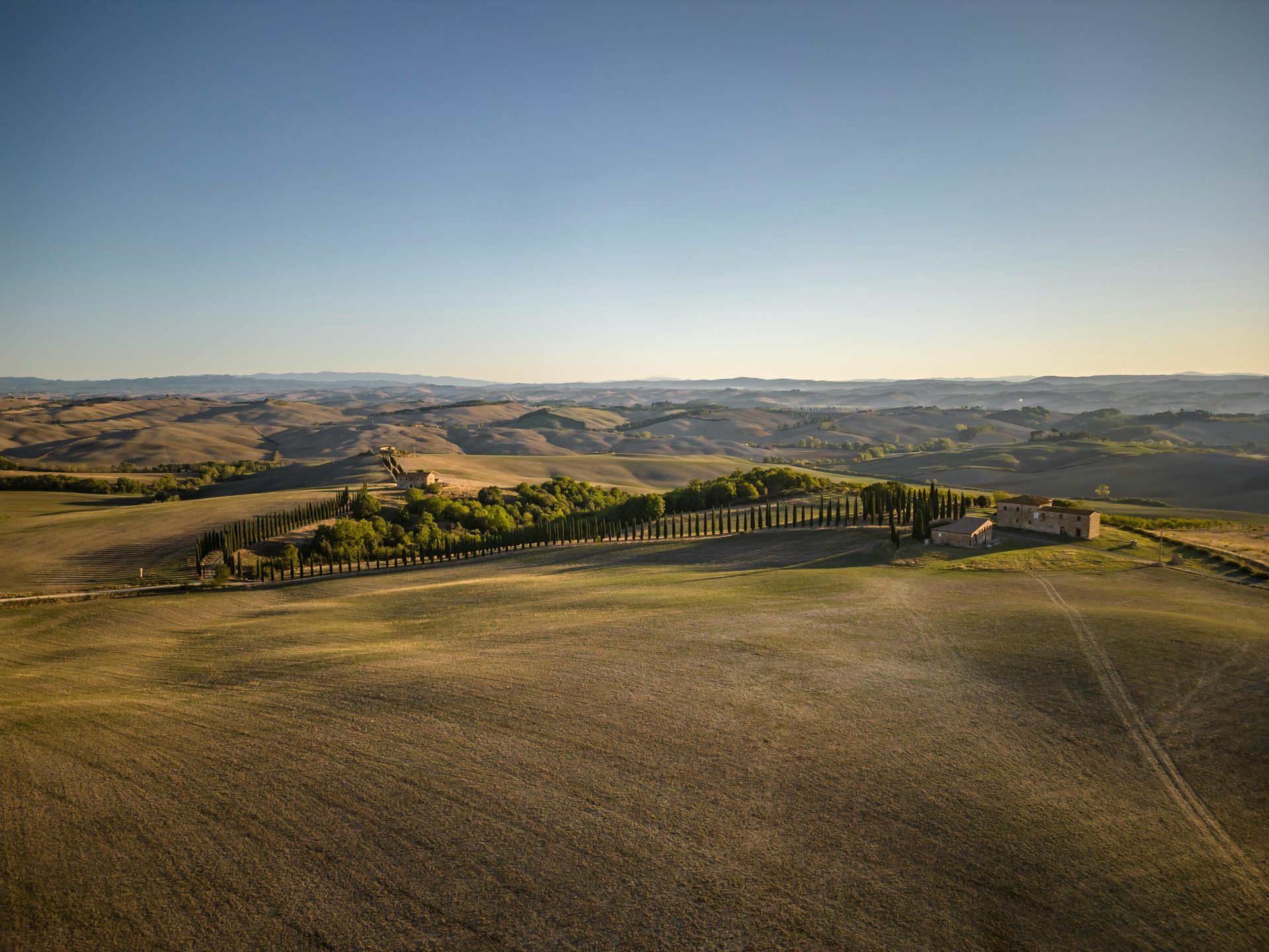 Zypressenallee und Hügellandschaft im Val d'Orcia, Toskana