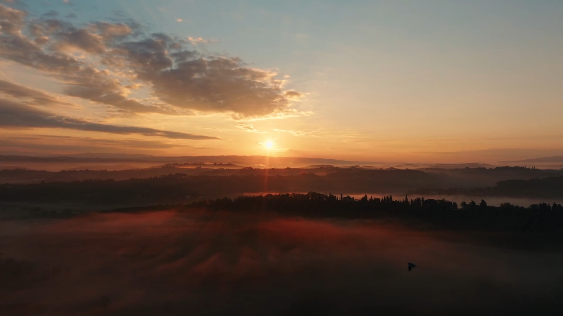 Sonnenaufgang über der toskanischen Hügellandschaft mit Morgennebel und Zypressen, Val d'Orcia, Toskana